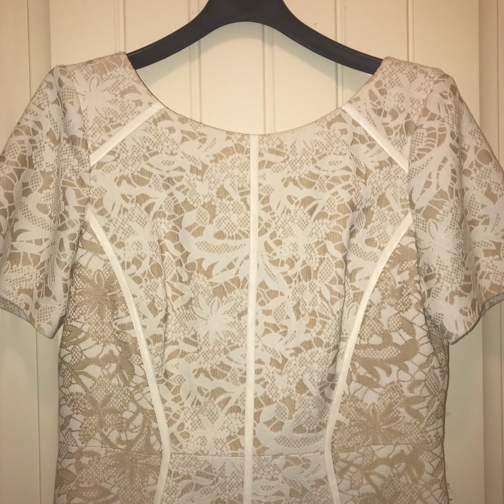 Lace Antonio Melani dress